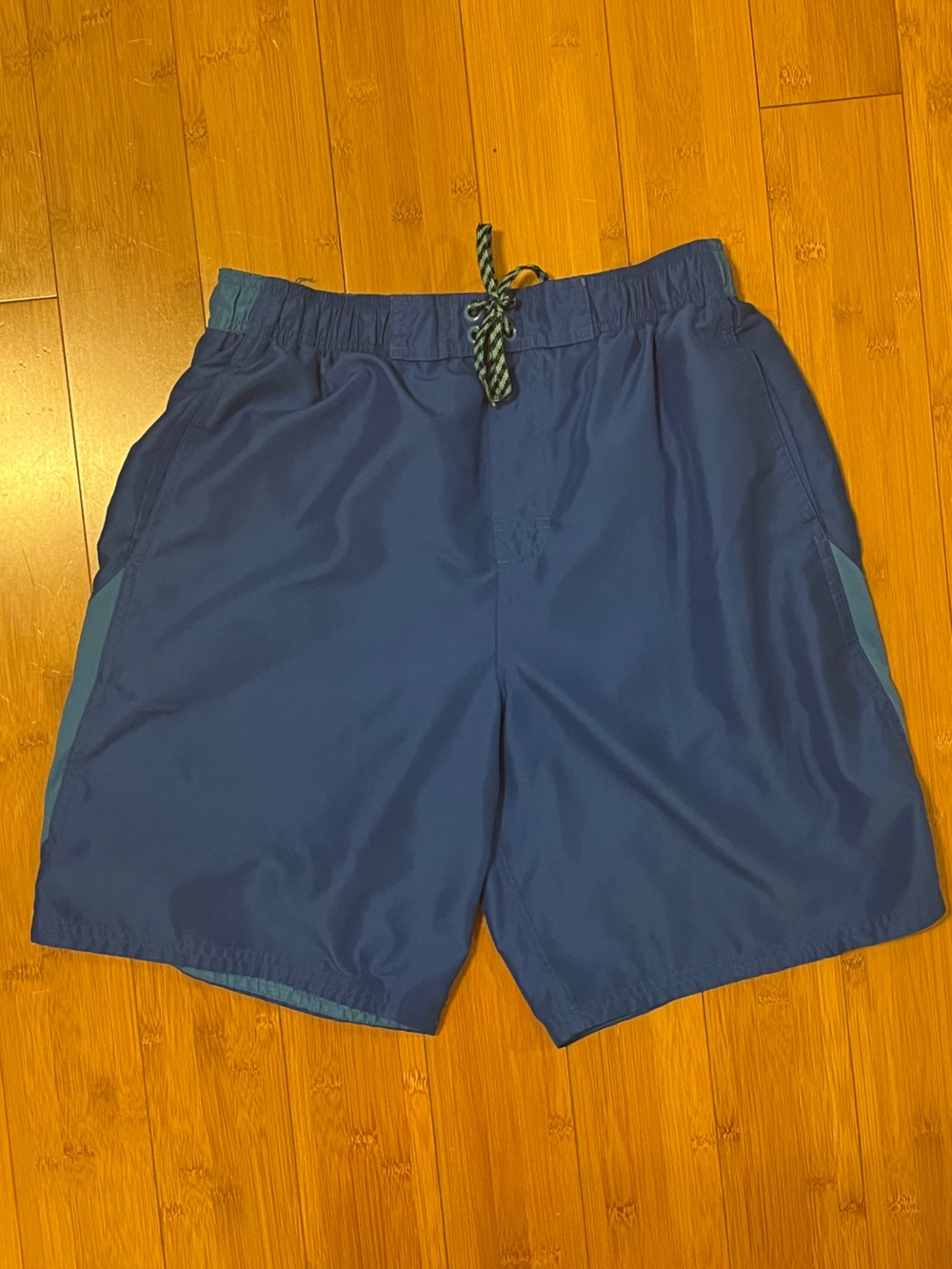 Nike Blue Athletic Shorts with Teal accents lined size medium